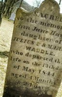 Ann Jane Hayes Waddle