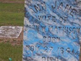 Ann Jane Mathison Ann Jane Mathison