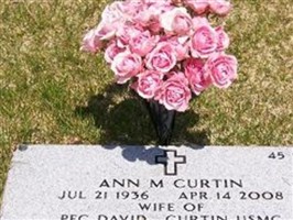 Ann M Curtin