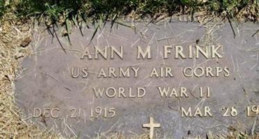 Ann M Frink