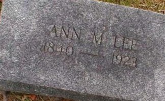 Ann M Pickrell Lee