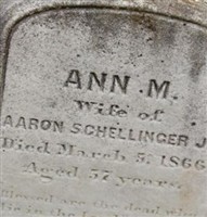 Ann M Schellinger