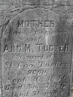 Ann M Tucker
