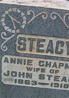 Ann Margaret Chapman Steacy