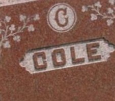 Ann Maria Cole