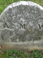 Ann Maria Talbott Williams