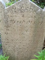 Ann Matilda Duryea Ann Matilda Duryea