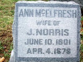 Ann McElfresh Norris