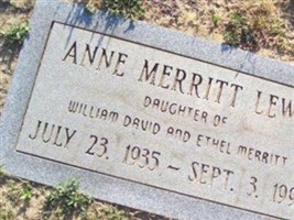 Ann Merritt Lewis