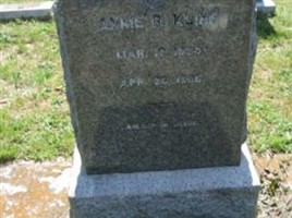 Ann Rebecca Dinges Kline