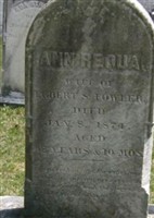 Ann Requa Fowler Ann Requa Fowler