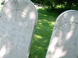Ann Roscoe