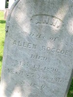 Ann Roscoe