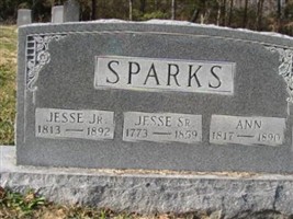 Ann Sparks