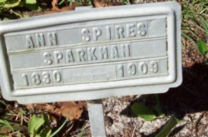 Ann Spires Sparkman