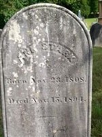 Ann Stark