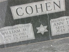 Ann Toledo Cohen