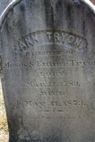 Ann Tryon Ann Tryon