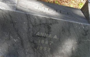 Anna A. Light