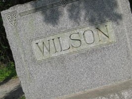Anna A. Meek Wilson