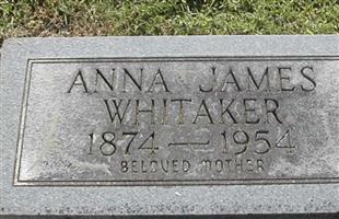Anna Belle James Whitaker