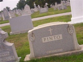 Anna C Pinto