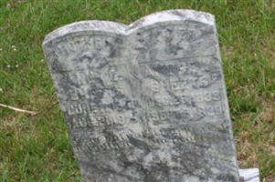 Anna C. Sheets