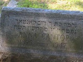 Anna Cantor Anna Cantor