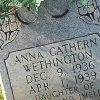 Anna Cathern Wethington Anna Cathern Wethington