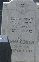 Anna Cohen