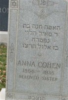 Anna Cohen