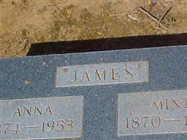 Anna Curry James Anna Curry James