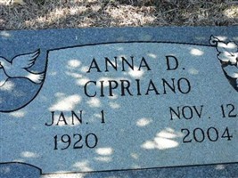 Anna D. Bilotti Cipriano Anna D. Bilotti Cipriano