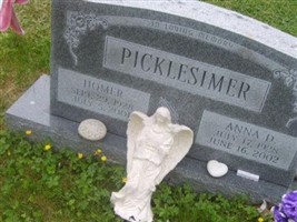 Anna D Picklesimer