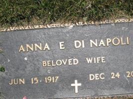 Anna E Di Napoli