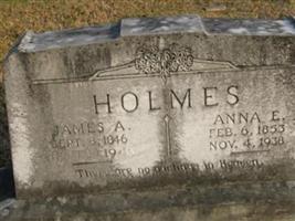 Anna E. Holmes