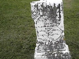 Anna Eckhardt Anna Eckhardt