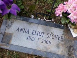 Anna Eliot Slover