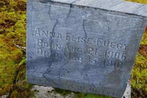 Anna Elise Fuegy Anna Elise Fuegy