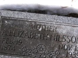 Anna Elizabeth Anderson Nilsson (2387962.jpg)