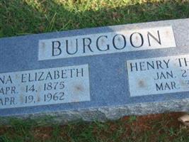 Anna Elizabeth Bushlong Burgoon