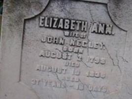 Anna Elizabeth Patterson Negley