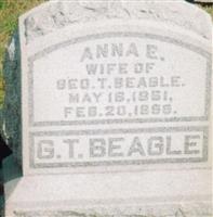 Anna Elizabeth Waltermire Beagle