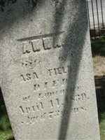 Anna Field