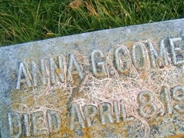 Anna G Comer
