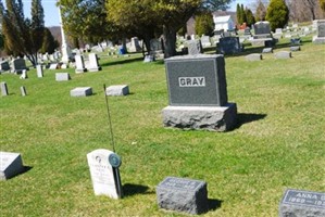 Anna G Gray