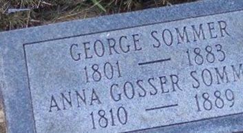 Anna Gosser Sommer Anna Gosser Sommer