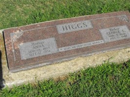 Anna Higgs