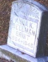 Anna K Huber Bellman-Brint