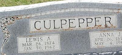 Anna Jane Johnson Culpepper